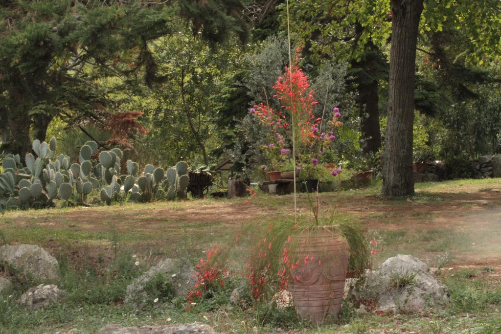 Holiday Home Botanica Drenje  Pokój zdjęcie