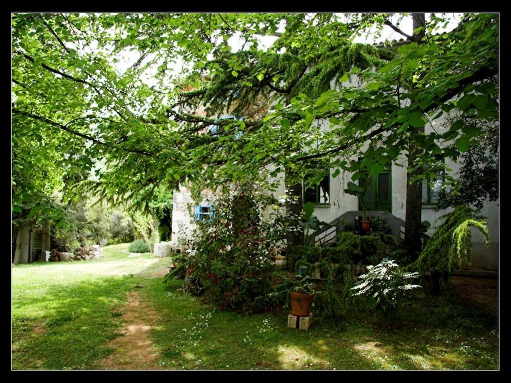 Holiday Home Botanica Drenje  Pokój zdjęcie
